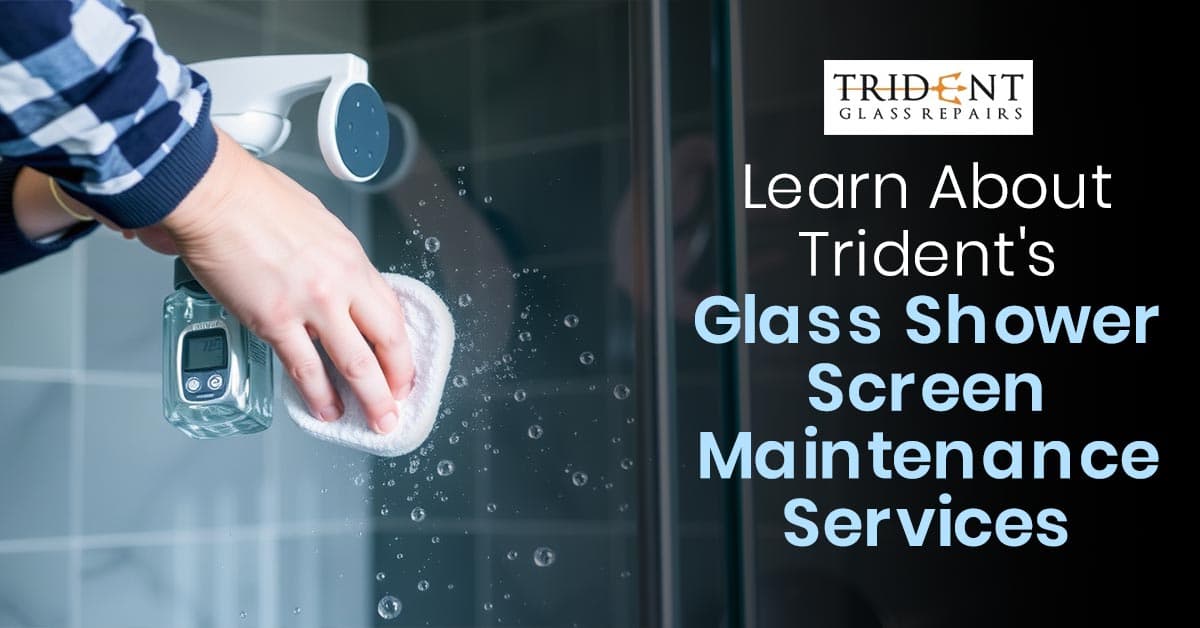 Learn About Trident’s Glass Shower Screen Maintenance Services