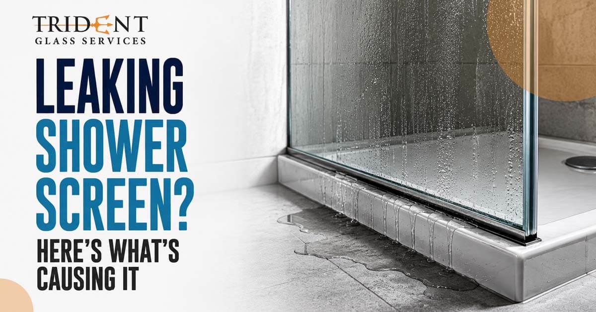 Leaking Shower Screen? Here's What's Causing It