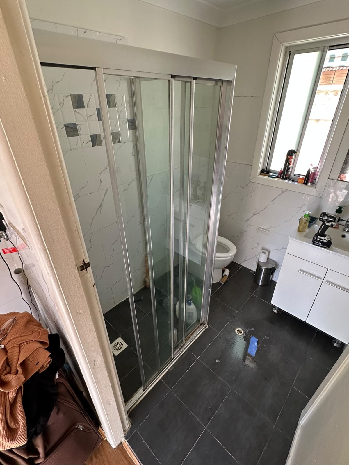 Shower screen