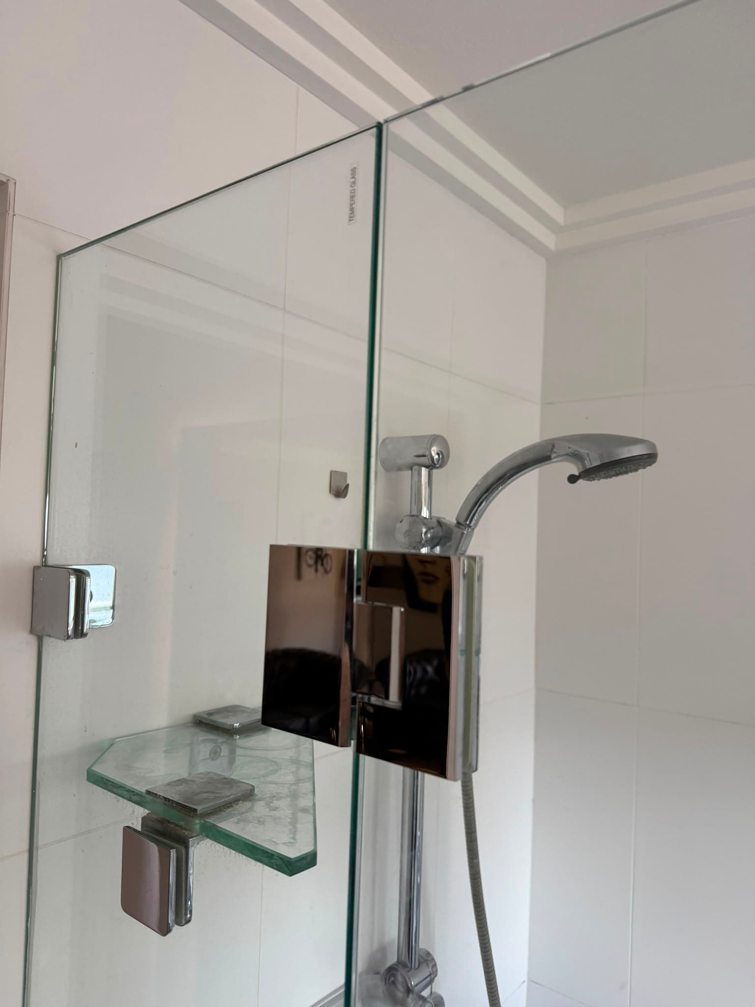 Shower screen