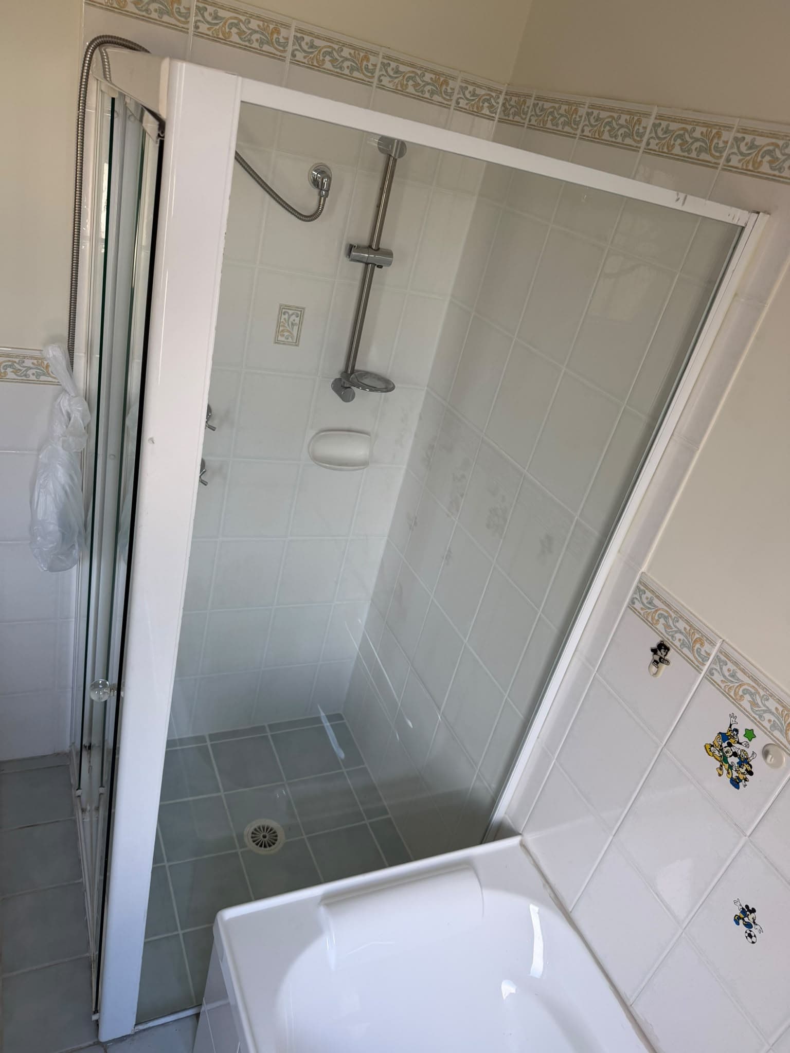 Shower screen