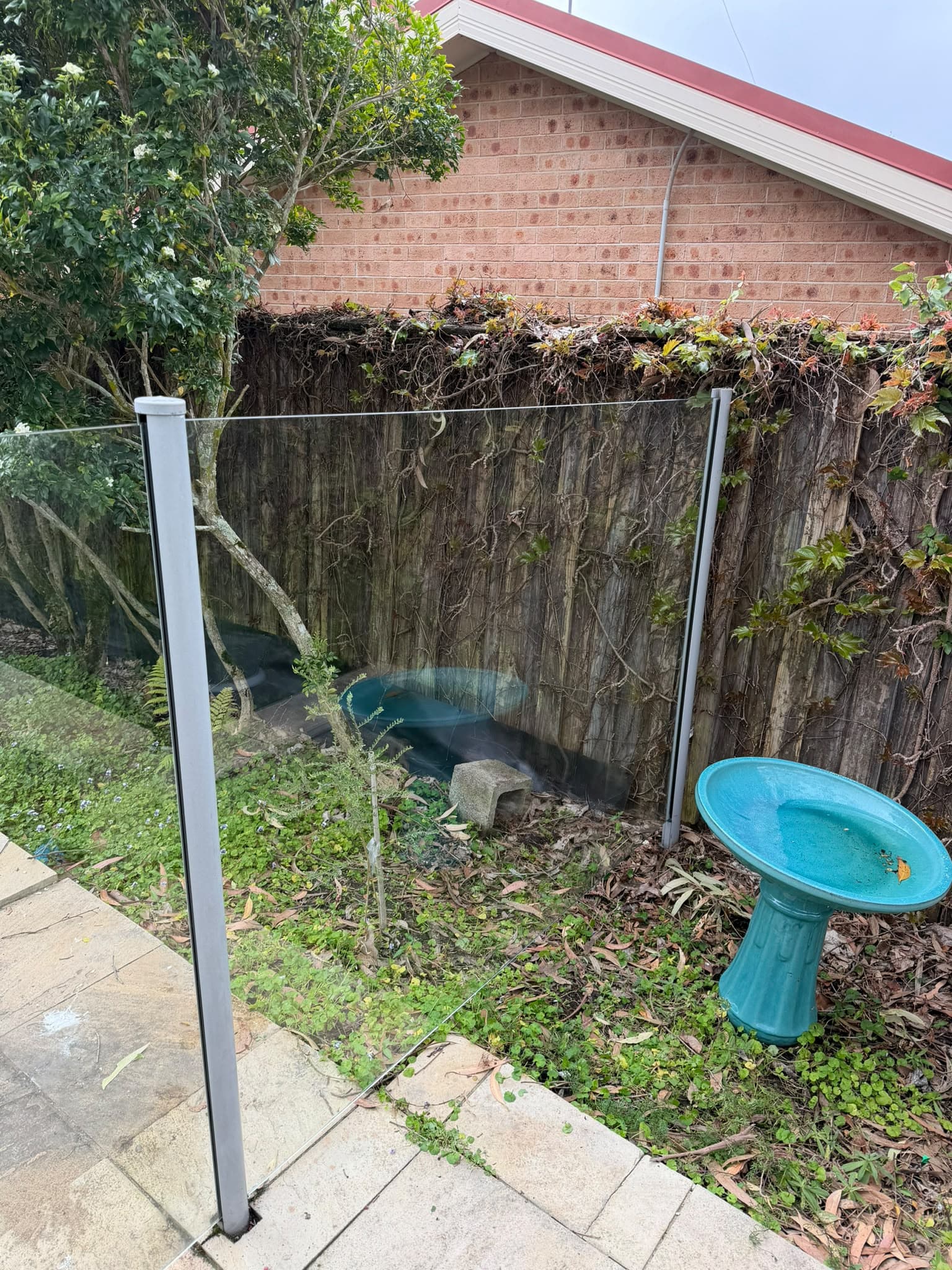 glass pool fence