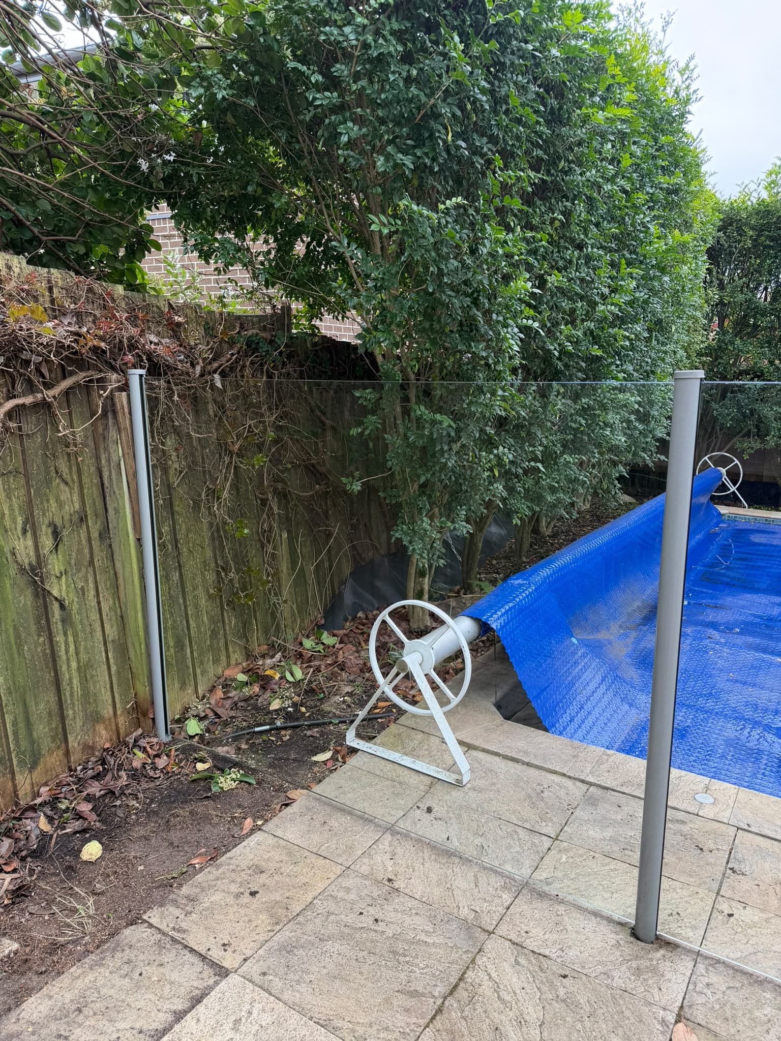 glass pool fence