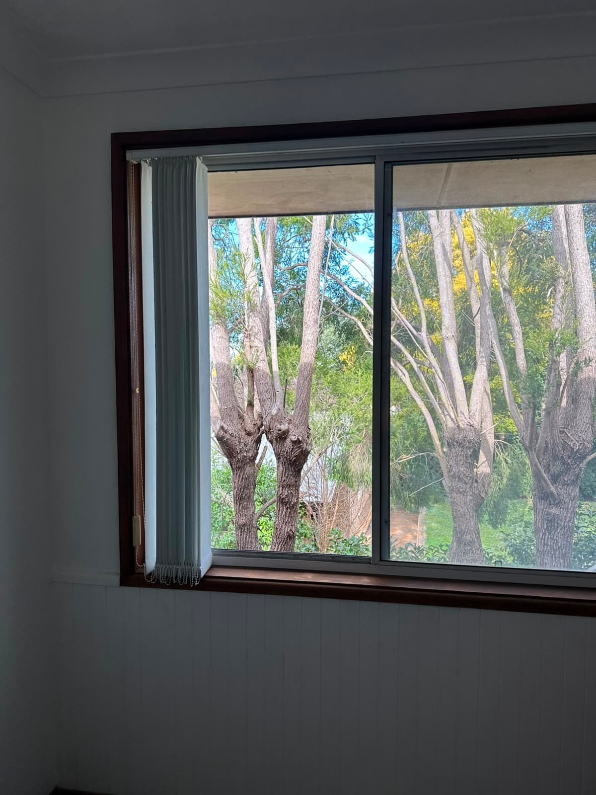 Glass Window