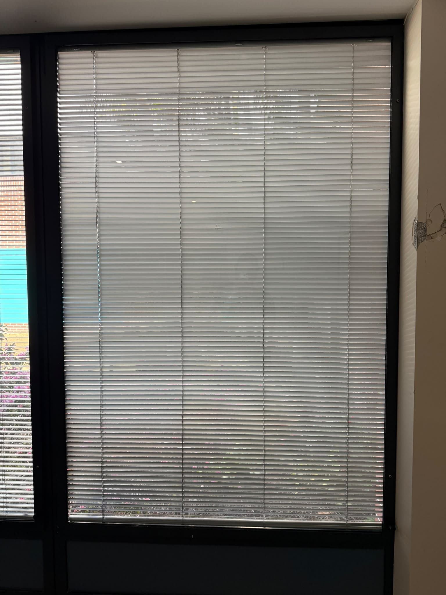 Glass Window