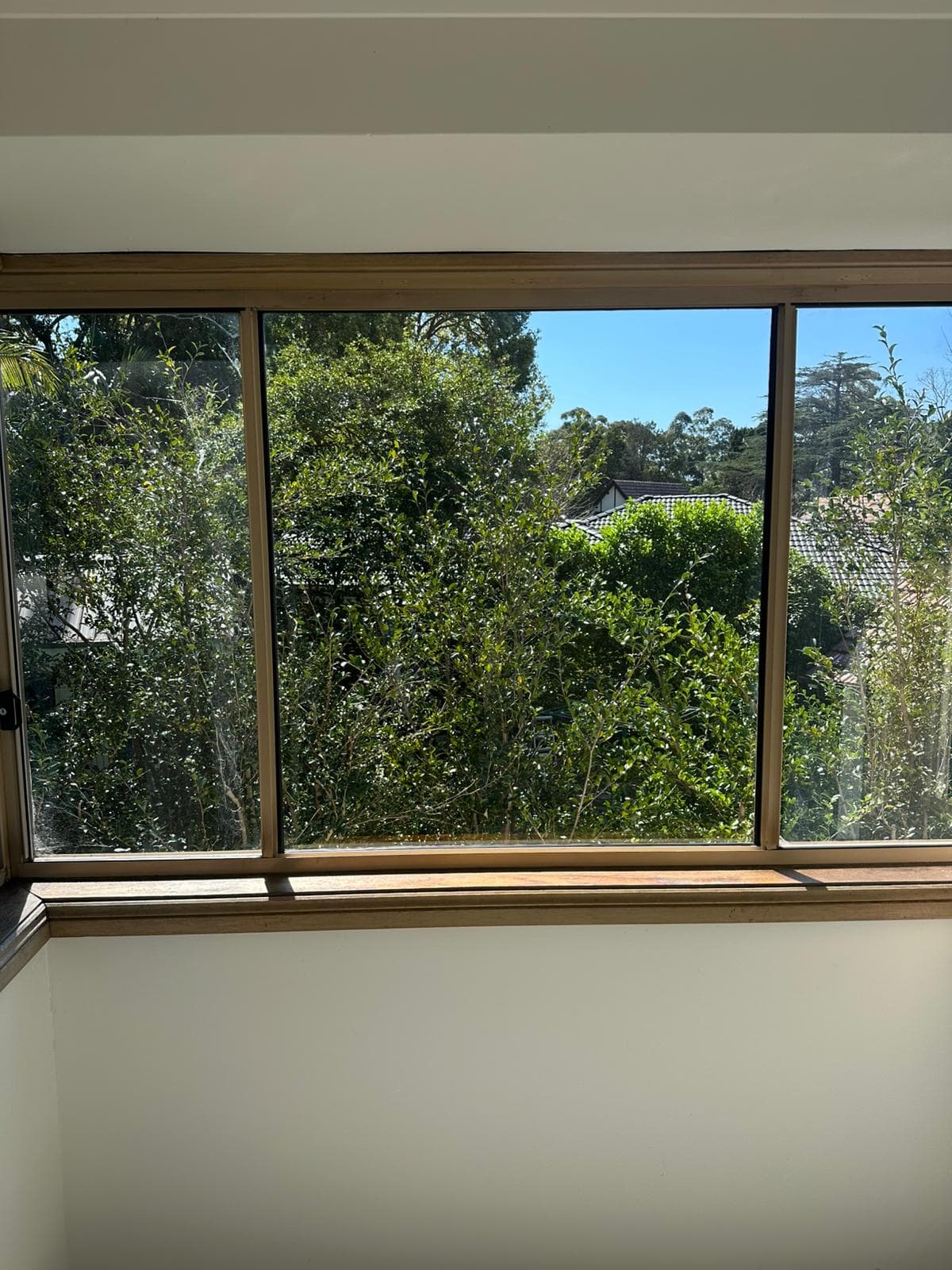 Glass Window