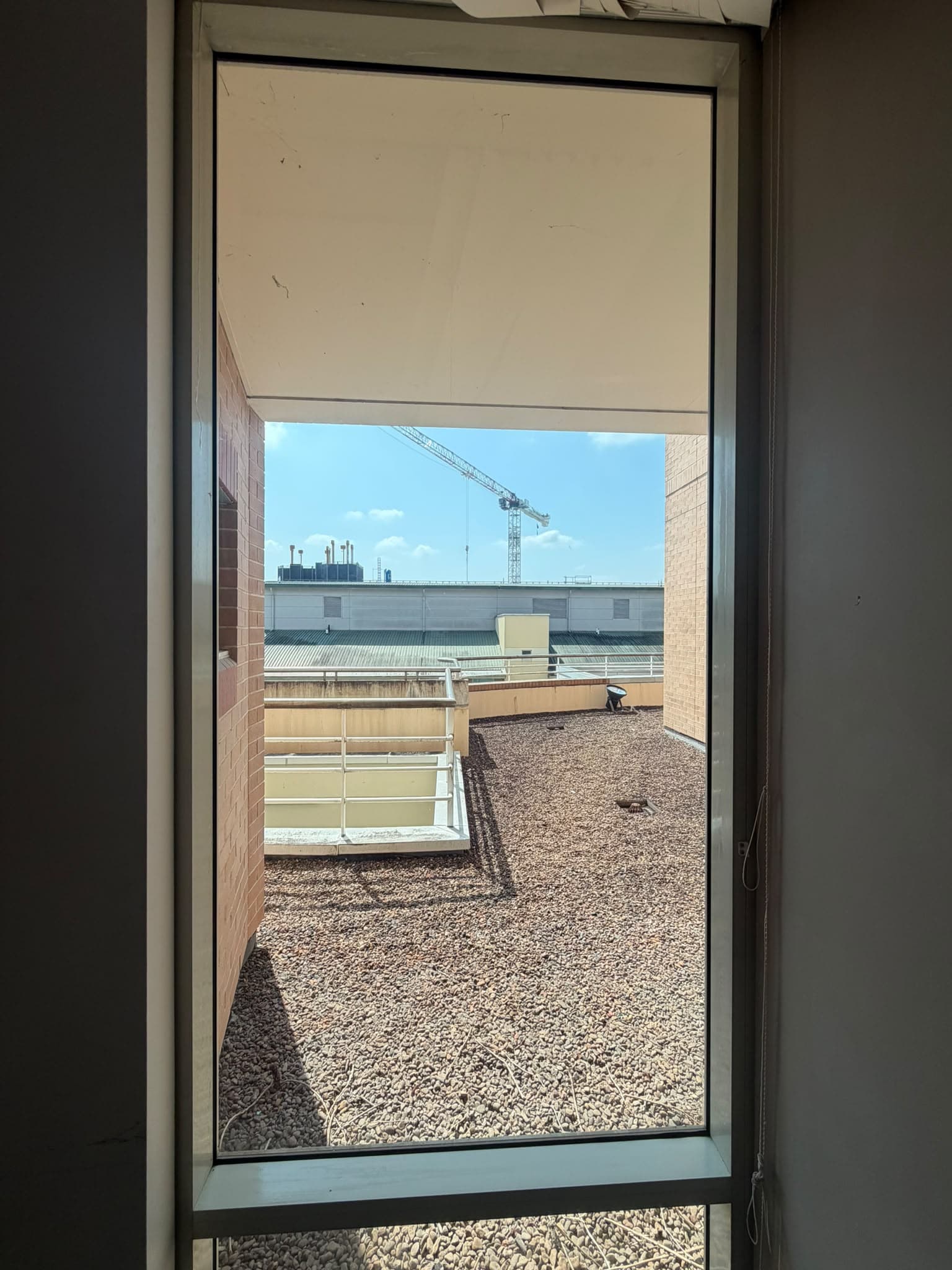 Custom Window Glass