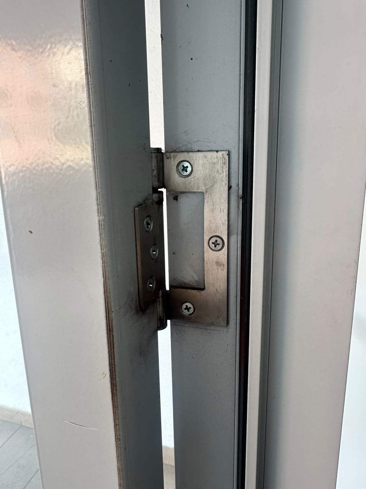 Glass doors