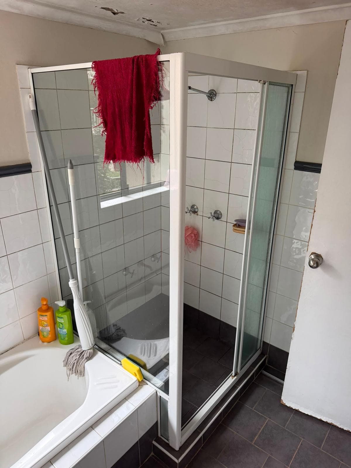Shower screen