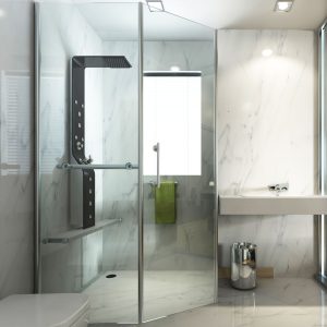 Shower Screen Repair